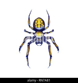 Gefahr exotische crawling Spinne, Cartoon arachnid auf Weiß Stock Vektor