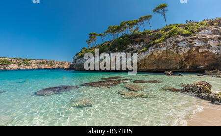 Panoramablick von Es Caló des Moro schöner Strand. Pinien Schatten auf dem kristallklaren Wasser. Als einer der besten Strände der Welt eingestuft. Entfernt Stockfoto