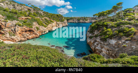 Panoramablick von Es Caló des Moro schöner Strand. Pinien Schatten auf dem kristallklaren Wasser. Als einer der besten Strände der Welt klassifiziert. Stockfoto