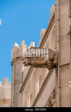 Gargoyle am Lonja de Palma de Mallorca (Llotja dels Mercaders) Denkmal im gotischen Stil alten Fischmarkt, in der Innenstadt der Stadt Palma, Mallorca Stockfoto