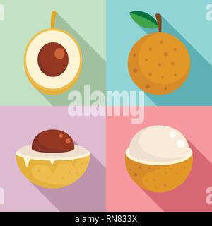 Longan Symbole gesetzt. Flache Satz longan Vector Icons für Web Design Stock Vektor