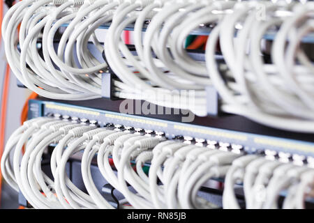 Gigabit Netzwerk Switch und perfekt ausgerichtet Patchkabel im Rechenzentrum Stockfoto