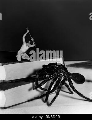 WILLIAMS, Spider, der unglaublich schrumpfende Mann, 1957 Stockfoto