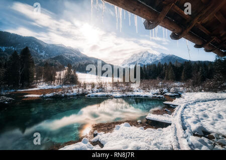 Zelenci Naturschutzgebiet im Winter Stockfoto