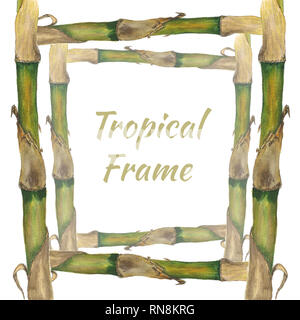 Aquarell Bambus Rahmen mit Seilen auf weißem Hintergrund. Hand Malerei auf Papier. Stockfoto