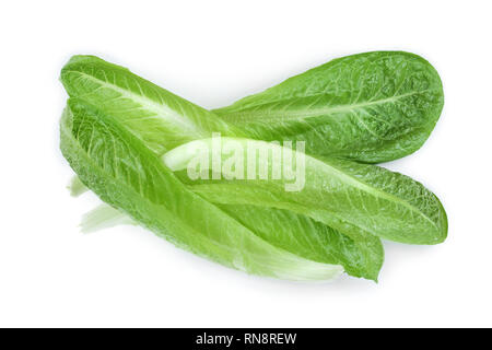 Frische römisch Römischer Salat auf einem weißen Hintergrund. Ansicht von oben. Flach Stockfoto