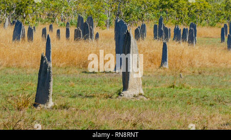 In der Nähe von magnetischen Termitenhügel bei Litchfield Stockfoto