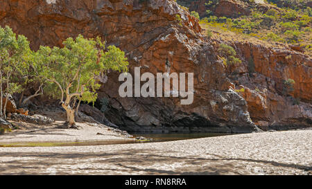 Ein Geist Zahnfleisch und die trockenen Finke River Bed an lurline Schlucht Stockfoto