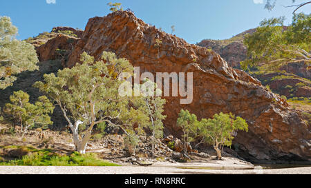 Ghost Gummis an lurline Schlucht in den west macdonnell Ranges Stockfoto