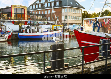 Eine einzige Möwe sitzt auf einem hölzernen Pfosten in den Alten Strom Kanal in der malerischen Hafenstadt Warnemünde, Deutschland Stockfoto