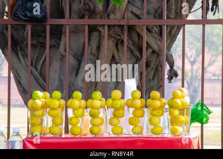 Zitrone in das Glas für die Zitrone Wasser für Verkaufen im Markt Stockfoto