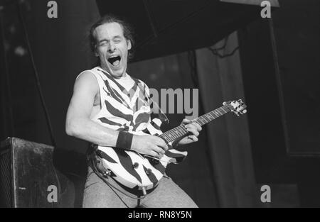 Damn Yankees Gitarrist Ted Nugent wird gezeigt auf der Bühne während einer "live"-Konzert aussehen. Stockfoto