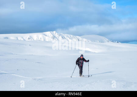 Gruppe von Ski-bergsteiger Skitouren auf der Feshie Hochebene in die Cairngorm Mountains, Schottland, Großbritannien Stockfoto