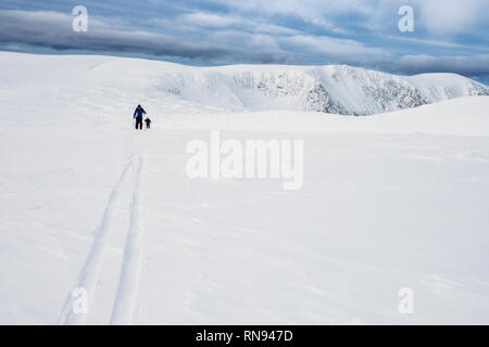 Gruppe von Ski-bergsteiger Skitouren auf der Feshie Hochebene in die Cairngorm Mountains, Schottland, Großbritannien Stockfoto