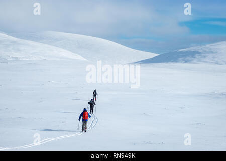 Gruppe von Ski-bergsteiger Skitouren auf der Feshie Hochebene in die Cairngorm Mountains, Schottland, Großbritannien Stockfoto