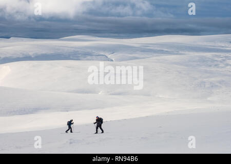 Gruppe von Ski-bergsteiger Skitouren auf der Feshie Hochebene in die Cairngorm Mountains, Schottland, Großbritannien Stockfoto