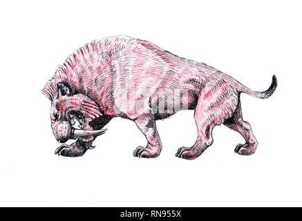 Saber Tooth Katze auf der Jagd. Tiere zeichnen. Säbelzahntiger Cat Attack. Stockfoto