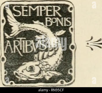 . Anatomischer Anzeiger. Anatomie, Vergleichende; Anatomie, Vergleichende. ANATOMISCHER ANZEIGER. CENTRALBLATT FÜR DIE GESAMTE WISSENSCHAFTLICHE ANATOMIE. AMTLICHES ORGAN DER ANATOMISCHEN GESELLSCHAFT. HERAUSGEGEBEN VON D" KARL VON BARDELEBEN, der PBOFESSOK TTSIVERSITÄT JENA. NEUNZEHNTER BAND. MIT 11 Abb. auf Tafeln und 255 Abbildungen im Text. "7"^^. JENA VERLAG VON GUSTAV FISCHER 1901.. Bitte beachten Sie, dass diese Bilder aus gescannten Seite Bilder, die digital für die Lesbarkeit verbessert haben mögen - Färbung und Aussehen dieser Abbildungen können nicht genau mit dem ursprünglichen wor ähneln extrahiert werden Stockfoto