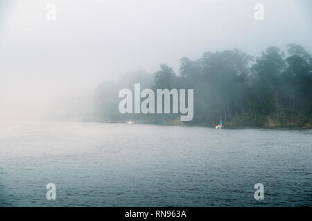 Einer nebligen Nachmittag im Februar auf die Wochen Bay National Estaurine Forschung finden. Stockfoto