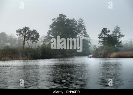 Einer nebligen Nachmittag im Februar auf die Wochen Bay National Estaurine Forschung finden. Stockfoto