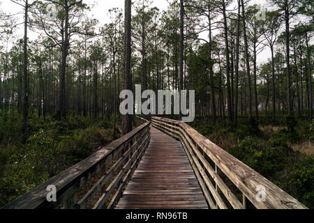 Einer nebligen Nachmittag im Februar auf die Wochen Bay National Estaurine Forschung finden. Stockfoto