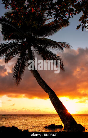 Schiefen Palme bei Sonnenaufgang in Lavena Dorf auf Taveuni Island, Fidschi. Taveuni ist die drittgrößte Insel in Fidschi. Stockfoto