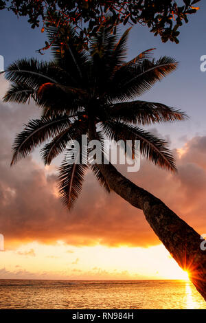 Schiefen Palme bei Sonnenaufgang in Lavena Dorf auf Taveuni Island, Fidschi. Taveuni ist die drittgrößte Insel in Fidschi. Stockfoto