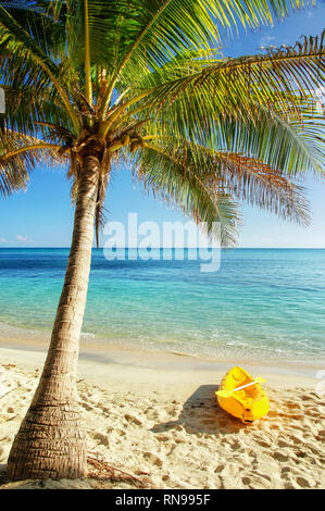 Sea Kayak auf dem Strand in der Nähe von Palm Tree, Nacula Island, Yasawas, Fidschi Stockfoto