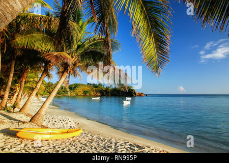 Sea Kayak auf dem Strand in der Nähe von Palmen, Nacula Island, Yasawas, Fidschi Stockfoto