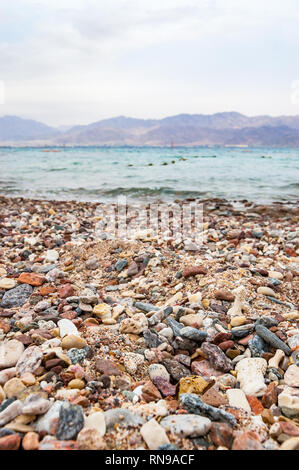 Viele kleine Steine Steine und Korallen am Roten Meer in Eilat, Israel Stockfoto