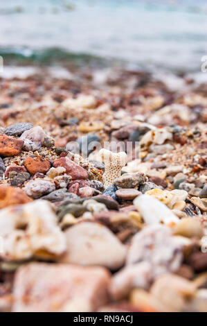 Viele kleine Steine Steine und Korallen am Roten Meer in Eilat, Israel Stockfoto