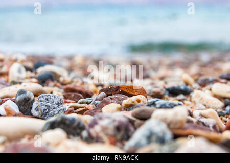 Viele kleine Steine Steine und Korallen am Roten Meer in Eilat, Israel Stockfoto