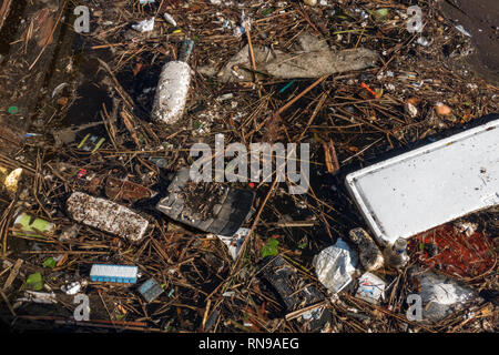 Plastikmüll im Hafen. Embden. Deutschland Stockfoto