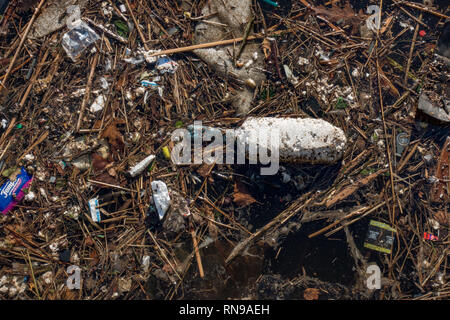 Plastikmüll im Hafen. Embden. Deutschland Stockfoto