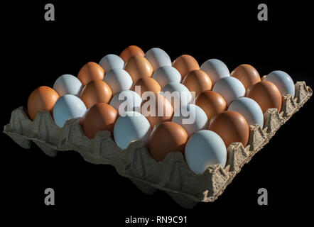 Die Verpackung der gelben und weissen huhn eier in eine diagonale Komposition auf einem schwarzen Hintergrund angeordnet. Stockfoto