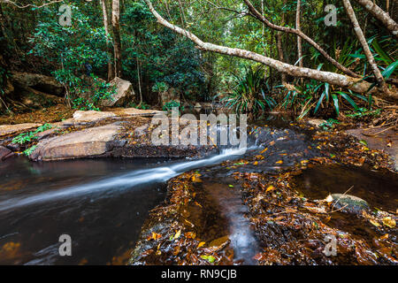 Schöne sprudelnden Bach in einem Regenwald Stockfoto