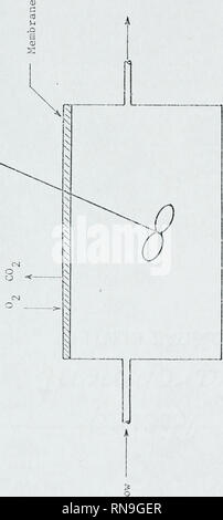 . Analytische und experimentelle Untersuchung von Blut Oxygenatoren und pulmonale Stoffaustausch in flüssigen Atmung. In der Körper Sauerstoff; Blut Gase; Atmung. 196. Bitte beachten Sie, dass diese Bilder sind von der gescannten Seite Bilder, die digital für die Lesbarkeit verbessert haben mögen - Färbung und Aussehen dieser Abbildungen können nicht perfekt dem Original ähneln. extrahiert. Falco, James William, 1942 -. Stockfoto