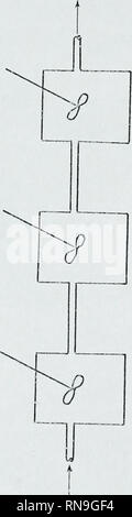. Analytische und experimentelle Untersuchung von Blut Oxygenatoren und pulmonale Stoffaustausch in flüssigen Atmung. In der Körper Sauerstoff; Blut Gase; Atmung. 194. Bitte beachten Sie, dass diese Bilder sind von der gescannten Seite Bilder, die digital für die Lesbarkeit verbessert haben mögen - Färbung und Aussehen dieser Abbildungen können nicht perfekt dem Original ähneln. extrahiert. Falco, James William, 1942 -. Stockfoto