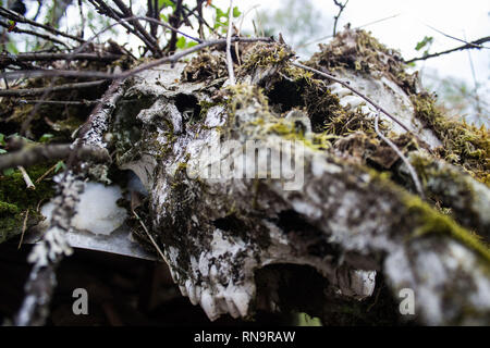 Vom Netz Stockfoto