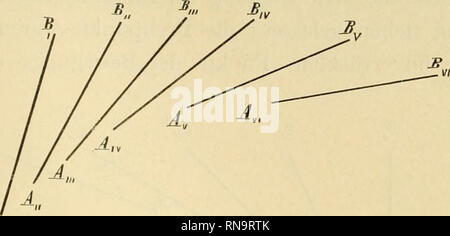 . Anatomische Hefte. Unbelasteten sterben aktive Beugung im Kniegelenk. 719 nicht nur A und B, sondern ein jeder Punkt, der mit der Linie AB starr verbunden ist, konzentrische Kreisbogen und umge-B". A.. Bitte beachten Sie, dass diese Bilder sind von der gescannten Seite Bilder, die digital für die Lesbarkeit verbessert haben mögen - Färbung und Aussehen dieser Abbildungen können nicht perfekt dem Original ähneln. extrahiert. München [etc. ] J. F. Bergmann Stockfoto