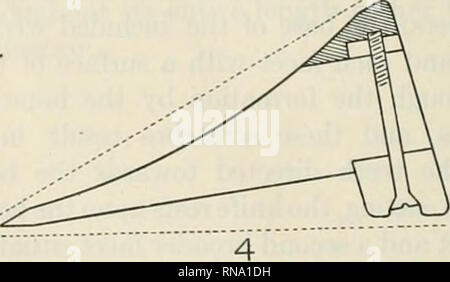 . Die anatomischen Datensatz 1922-1923. Anatomie. ^. Bitte beachten Sie, dass diese Bilder sind von der gescannten Seite Bilder, die digital für die Lesbarkeit verbessert haben mögen - Färbung und Aussehen dieser Abbildungen können nicht perfekt dem Original ähneln. extrahiert. Amerikanische Vereinigung der Anatomen; Amerikanische Gesellschaft der Zoologen. Philadelphia [etc. ]: Die Wistar Institut für Anatomie und Zellbiologie [etc. ] Stockfoto