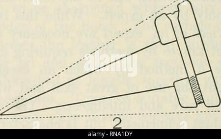 . Die anatomischen Datensatz 1922-1923. Anatomie. . ^. Bitte beachten Sie, dass diese Bilder sind von der gescannten Seite Bilder, die digital für die Lesbarkeit verbessert haben mögen - Färbung und Aussehen dieser Abbildungen können nicht perfekt dem Original ähneln. extrahiert. Amerikanische Vereinigung der Anatomen; Amerikanische Gesellschaft der Zoologen. Philadelphia [etc. ]: Die Wistar Institut für Anatomie und Zellbiologie [etc. ] Stockfoto