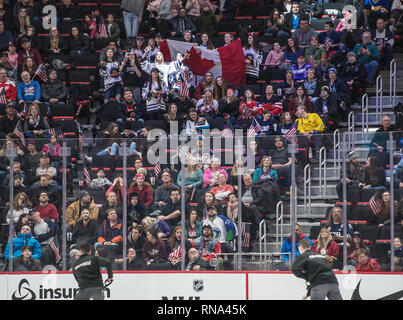 Detroit, Michigan, USA. 17 Feb, 2019. Kanadischen Fans jubeln für Ihre Mannschaft während der 2019 Rivalität Reihe bei Little Caesars Arena. Team Canada gewann 2-0. Credit: Scott Hasse/ZUMA Draht/Alamy leben Nachrichten Stockfoto