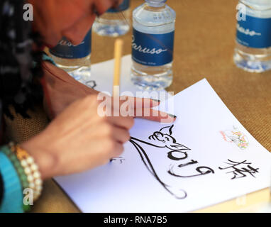 Los Angeles, USA. 17 Feb, 2019. Ein Künstler zeichnet ein Schwein und schreibt in der chinesischen Kalligraphie während einer Feier der chinesische Mondjahr an der ursprünglichen Bauernmarkt in Los Angeles, USA, Nov. 17, 2019. Das Neujahrsfest Feier am Sonntag lockte Einheimische und Touristen. Es begann mit der Enthüllung einer Statue Stahl handgefertigt Schwein mit einem Gewicht von 400 Pfund (181 kg), zu Ehren des diesjährigen Sternzeichen, von einem kung-fu Demonstration, akrobatische Darbietungen, eine Zaubershow und einem traditionellen Löwen- und Drachentanz gefolgt. Credit: Li Ying/Xinhua/Alamy leben Nachrichten Stockfoto