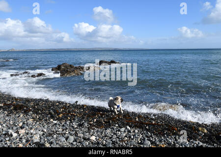 Fowey, Cornwall, UK. 18 Feb, 2019. UK Wetter. In den strahlenden Sonnenschein, es fühlt sich an wie ein Sommertag am Meer in Mousehole, Zeit für das erste Eis der Saison. Foto: Simon Maycock/Alamy leben Nachrichten Stockfoto