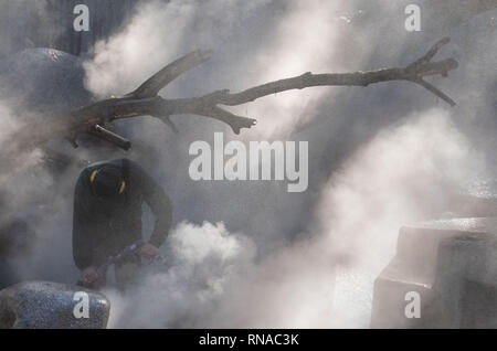 Stuttgart, Deutschland. 18 Feb, 2019. Ein Arbeiter in der Wilhelma Zoological-Botanical Garten reinigt ein Gehäuse mit einem Dampfstrahler. Credit: Marijan Murat/dpa/Alamy leben Nachrichten Stockfoto