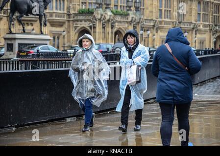 London, Großbritannien. 18 Feb, 2019. UK Wetter: Touristen durch strömenden Regen in Westminster London zu Fuß. Credit: Claire Doherty/Alamy leben Nachrichten Stockfoto