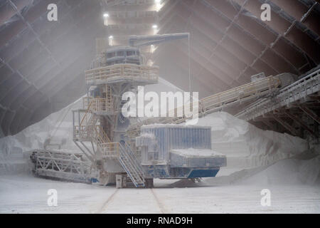 Bernburg, Deutschland. 16 Jan, 2019. Ein Schaber transportiert das Salz vom Silo des "European Salt Company (ESCO) auf ein Förderband. Das Unternehmen produziert Salz im Salzlandkreis aus einer Tiefe von 700 m. Das Salz wurde es vor 250 Millionen Jahren abgelagert, wenn ein Meer es verdampft. Unter anderem Streusalz wird aus Das abgebaute Salz, die derzeit auf allen Straßen nördlich des Mains verwendet wird. Credit: Klaus-Dietmar Gabbert/dpa-Zentralbild/ZB/dpa/Alamy leben Nachrichten Stockfoto