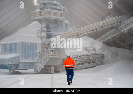 Bernburg, Deutschland. 16 Jan, 2019. Ein Techniker des "European Salt Company (ESCO) steht in einem Silo der Firma vor einem Schaber, verbringt das Salz auf ein Förderband. Das Unternehmen produziert Salz im Salzlandkreis aus einer Tiefe von 700 m. Das Salz wurde es vor 250 Millionen Jahren abgelagert, wenn ein Meer es verdampft. Unter anderem Streusalz wird aus Das abgebaute Salz, die derzeit auf allen Straßen nördlich des Mains verwendet wird. Credit: Klaus-Dietmar Gabbert/dpa-Zentralbild/ZB/dpa/Alamy leben Nachrichten Stockfoto