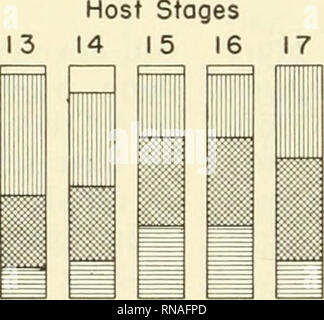 . Analyse der Entwicklung. Embryologie; Embryologie. Geber Ende Host Stufen 18 19 20 21 22 24 Ohr Ektoderm APDD zu Ohr Region. Harrison '36 a B. Ohr Ektoderm APDD zu Region Anterior nach Eor Host Stadium 22. Yntema '39 13 14 16 Spender Stadien 18 20 1 22 24 1 0. Ektoderm APDD Ohr zu Ohr Region. Spender Stadium 20. Yntema, neue Daten Host Stufen 16 18 20 22 24 Spender Stufen 14 15 16 17 II. Ektoderm APDD Ohr zu Ohr Region. Host Stufen 21-23. Hall '39 m 9^ TTO m I. Ohr Ektoderm APDD zu Ohr Region. Spender Stufen 21-22. Hall" 41. Schlüssel NICHT ANGEGEBEN REDUPLIKATION ORIGINAL ASTMMEl Abb. 148. Differenzierung von Ohr ecto Stockfoto